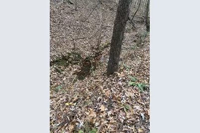0 John Call Rd - 181.51Ac, Talking Rock, GA 30175 - Photo 7