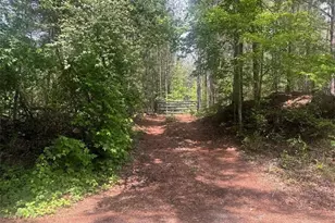 0 Butler Bridge Rd, McDonough, GA 30252 - Photo 1