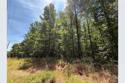 467 N Raburn Road, Bremen, GA 30110 - Photo 3