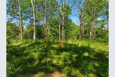 Lot 1 Summit Drive, Dahlonega, GA 30533 - Photo 5