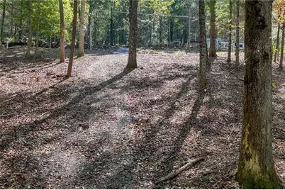 10042 Doublehead Gap Road, Blue Ridge, GA 30513 - Photo 9