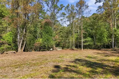 10042 Doublehead Gap Road, Blue Ridge, GA 30513 - Photo 7