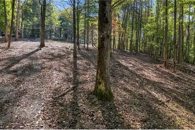 10042 Doublehead Gap Road, Blue Ridge, GA 30513 - Photo 29