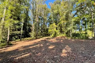 447 Martindale Ct, Stone Mountain, GA 30088 - Photo 1