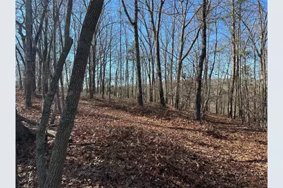 0 Charlie Lemley Road, Dawsonville, GA 30534 - Photo 1