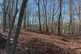 0 Charlie Lemley Rd, Dawsonville, GA 30534 - Photo 1