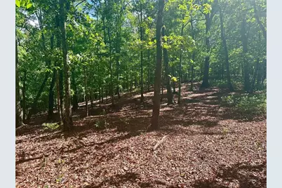 7-/+ Charlie Lemley Road, Dawsonville, GA 30534 - Photo 9