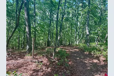 7-/+ Charlie Lemley Road, Dawsonville, GA 30534 - Photo 5