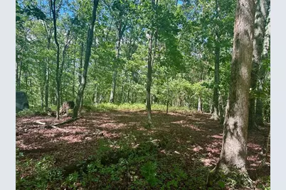 7-/+ Charlie Lemley Road, Dawsonville, GA 30534 - Photo 11