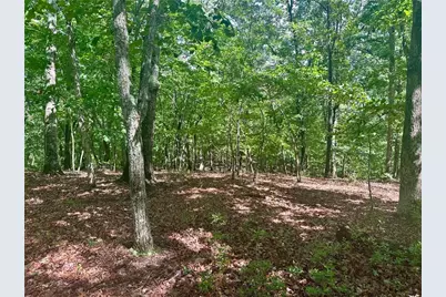 7-/+ Charlie Lemley Road, Dawsonville, GA 30534 - Photo 7