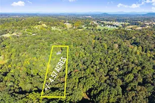 5571 Northwoods Rd, Clermont, GA 30527 - Photo 45