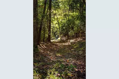 509 Wisteria Lane, Morganton, GA 30560 - Photo 87