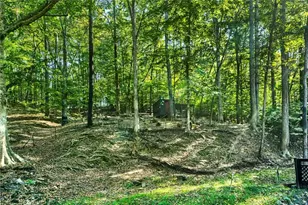 1436 Old Mill Rd, Ball Ground, GA 30107 - Photo 37