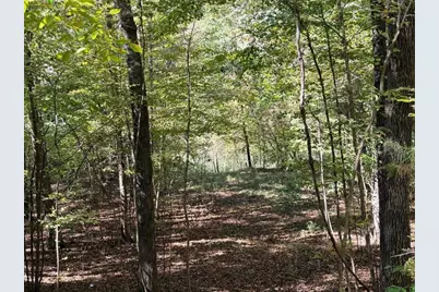 0 Towaliga South Road, Jackson, GA 30233 - Photo 5