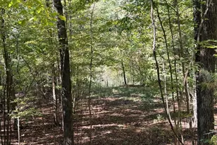 0 Towaliga South Rd, Jackson, GA 30233 - Photo 5