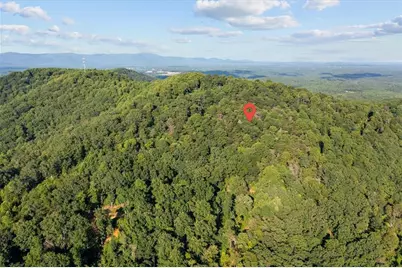 Lot 4 Firetower Rd, Jasper, GA 30143 - Photo 9