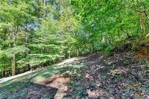 148 Chestatee Dr, Dahlonega, GA 30533 - Photo 17