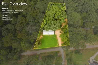 515 Donald Cleveland Road, Mount Airy, GA 30563 - Photo 55
