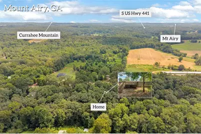 515 Donald Cleveland Road, Mount Airy, GA 30563 - Photo 65