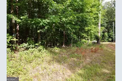 0 Parker Road, Covington, GA 30014 - Photo 7