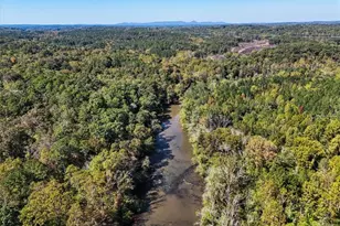 328 Cain Creek Overlook, Ball Ground, GA 30107 - Photo 69