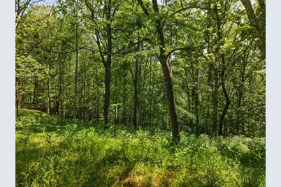 Lot 3 Summit Drive, Dahlonega, GA 30533 - Photo 3