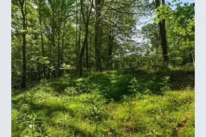 Lot 4 Summit Drive, Dahlonega, GA 30533 - Photo 5