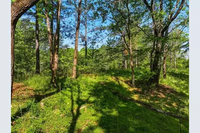 Lot 5 Summit Drive, Dahlonega, GA 30533 - Photo 5