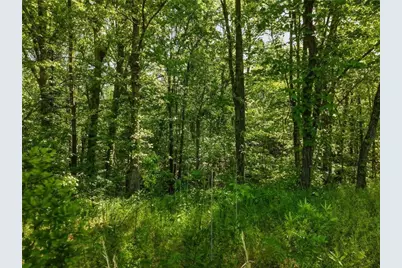Lot 5 Summit Drive, Dahlonega, GA 30533 - Photo 3