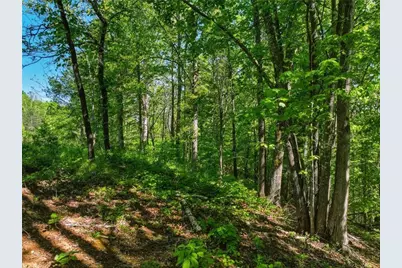 Lot 6 Summit Drive, Dahlonega, GA 30533 - Photo 5