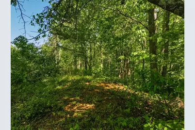 Lot 7 Summit Drive, Dahlonega, GA 30533 - Photo 5
