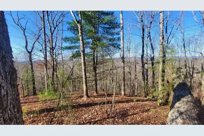 Lt 171 Doll Mountain Road, Ellijay, GA 30540 - Photo 3