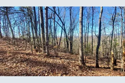 Lt 171 Doll Mountain Road, Ellijay, GA 30540 - Photo 5