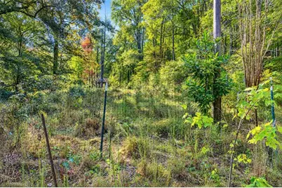 0 Wax Road, Silver Creek, GA 30161 - Photo 5