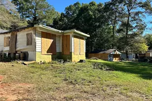 65 Little John Trail, Hampton, GA 30228 - Photo 3