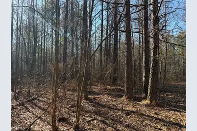 0 Hawk Road, Newnan, GA 30263 - Photo 13