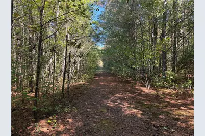 0 Hawk Road, Newnan, GA 30263 - Photo 31