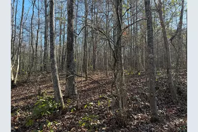 0 Hawk Road, Newnan, GA 30263 - Photo 9