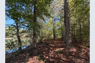 0 Hawk Road, Newnan, GA 30263 - Photo 29