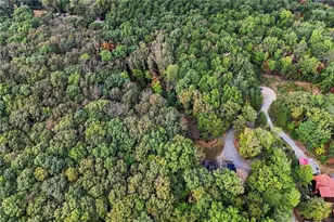 253 Cohutta Overlook Trail, Blue Ridge, GA 30513 - Photo 83