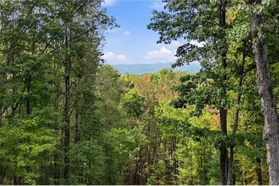253 Cohutta Overlook Trail, Blue Ridge, GA 30513 - Photo 81
