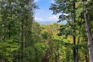 253 Cohutta Overlook Trail, Blue Ridge, GA 30513 - Photo 81