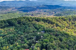 253 Cohutta Overlook Trail, Blue Ridge, GA 30513 - Photo 85