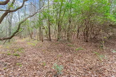 Lot 22 Soque Falls Circle, Clarkesville, GA 30523 - Photo 17