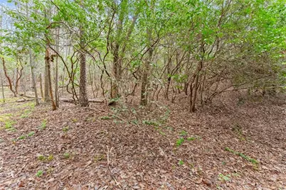 Lot 22 Soque Falls Circle, Clarkesville, GA 30523 - Photo 15