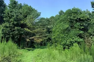 Lot 20 Henderson Mountain Rd, Jasper, GA 30143 - Photo 1