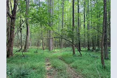 Lot 20 Henderson Mountain Road, Jasper, GA 30143 - Photo 15