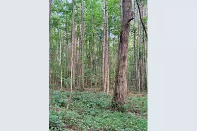 Lot 26 Skidder Way, Jasper, GA 30143 - Photo 15