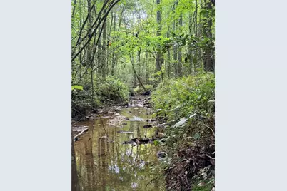 Lot 11 Pettit Road, Jasper, GA 30143 - Photo 5