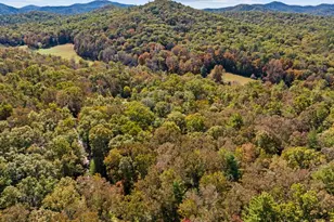 8776 Hwy 2, Epworth, GA 30541 - Photo 61